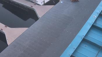 Weather camera view of Lake Powell Resorts and Marinas - Wahweap Marina.