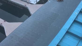 Weather camera view of Lake Powell Resorts and Marinas - Wahweap Marina.