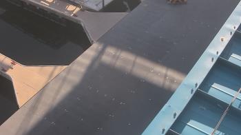 Weather camera view of Lake Powell Resorts and Marinas - Wahweap Marina.