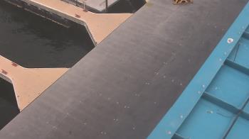 Weather camera view of Lake Powell Resorts and Marinas - Wahweap Marina.