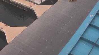 Weather camera view of Lake Powell Resorts and Marinas - Wahweap Marina.