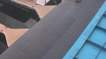 Weather camera view of Lake Powell Resorts and Marinas - Wahweap Marina.