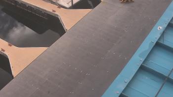 Weather camera view of Lake Powell Resorts and Marinas - Wahweap Marina.