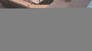 Weather camera view of Lake Powell Resorts and Marinas - Wahweap Marina.