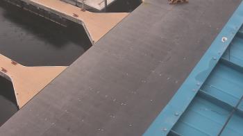 Weather camera view of Lake Powell Resorts and Marinas - Wahweap Marina.