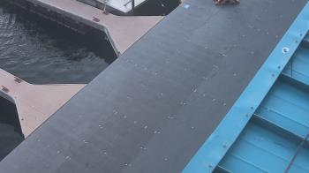 Weather camera view of Lake Powell Resorts and Marinas - Wahweap Marina.