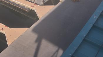 Weather camera view of Lake Powell Resorts and Marinas - Wahweap Marina.