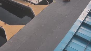 Weather camera view of Lake Powell Resorts and Marinas - Wahweap Marina.