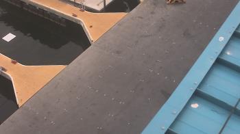 Weather camera view of Lake Powell Resorts and Marinas - Wahweap Marina.