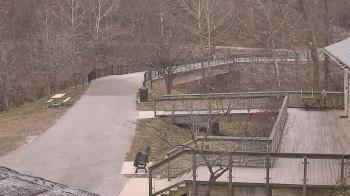 Weather camera view of Lake Roland Nature Council.