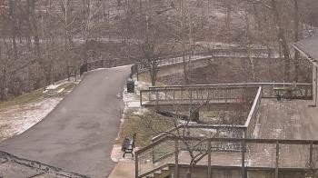 Weather camera view of Lake Roland Nature Council.