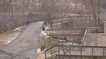 Weather camera view of Lake Roland Nature Council.