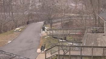 Weather camera view of Lake Roland Nature Council.