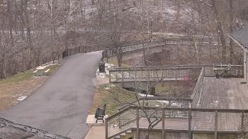 Weather camera view of Lake Roland Nature Council.