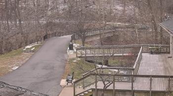 Weather camera view of Lake Roland Nature Council.