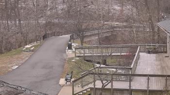 Weather camera view of Lake Roland Nature Council.