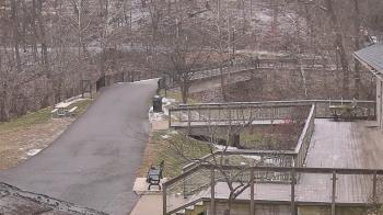 Weather camera view of Lake Roland Nature Council.