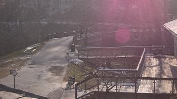 Weather camera view of Lake Roland Nature Council.