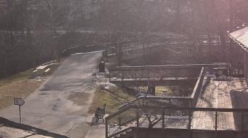 Weather camera view of Lake Roland Nature Council.