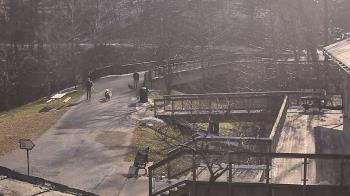 Weather camera view of Lake Roland Nature Council.