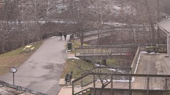 Weather camera view of Lake Roland Nature Council.