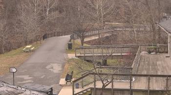 Weather camera view of Lake Roland Nature Council.