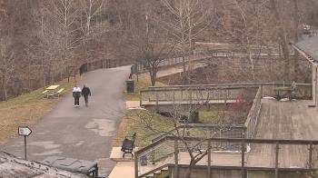 Weather camera view of Lake Roland Nature Council.