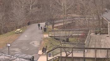 Weather camera view of Lake Roland Nature Council.