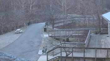 Weather camera view of Lake Roland Nature Council.