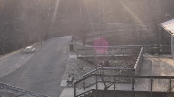 Weather camera view of Lake Roland Nature Council.