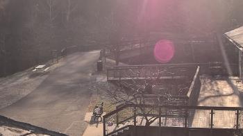 Weather camera view of Lake Roland Nature Council.