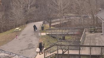 Weather camera view of Lake Roland Nature Council.