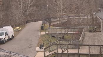 Weather camera view of Lake Roland Nature Council.