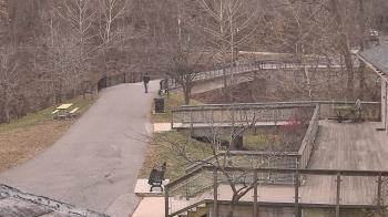 Weather camera view of Lake Roland Nature Council.