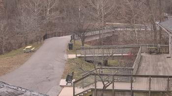 Weather camera view of Lake Roland Nature Council.