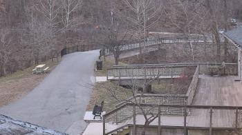 Weather camera view of Lake Roland Nature Council.