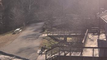 Weather camera view of Lake Roland Nature Council.