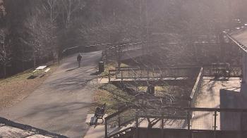 Weather camera view of Lake Roland Nature Council.