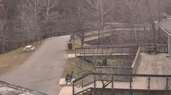 Weather camera view of Lake Roland Nature Council.