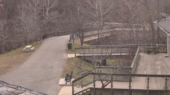 Weather camera view of Lake Roland Nature Council.