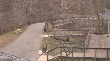Weather camera view of Lake Roland Nature Council.