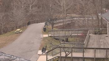Weather camera view of Lake Roland Nature Council.