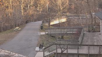 Weather camera view of Lake Roland Nature Council.