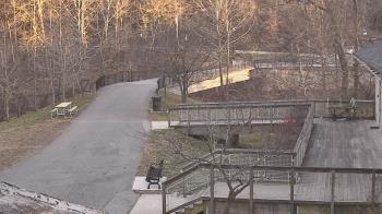 Weather camera view of Lake Roland Nature Council.