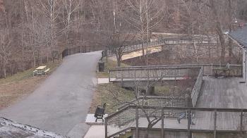 Weather camera view of Lake Roland Nature Council.