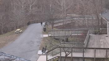 Weather camera view of Lake Roland Nature Council.