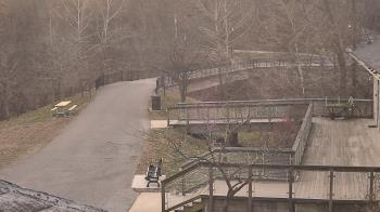 Weather camera view of Lake Roland Nature Council.