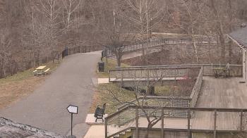 Weather camera view of Lake Roland Nature Council.