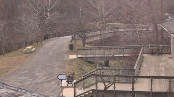 Weather camera view of Lake Roland Nature Council.