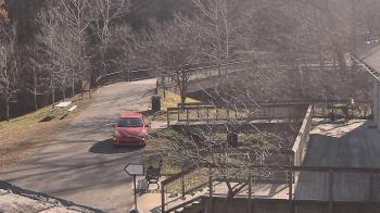 Weather camera view of Lake Roland Nature Council.